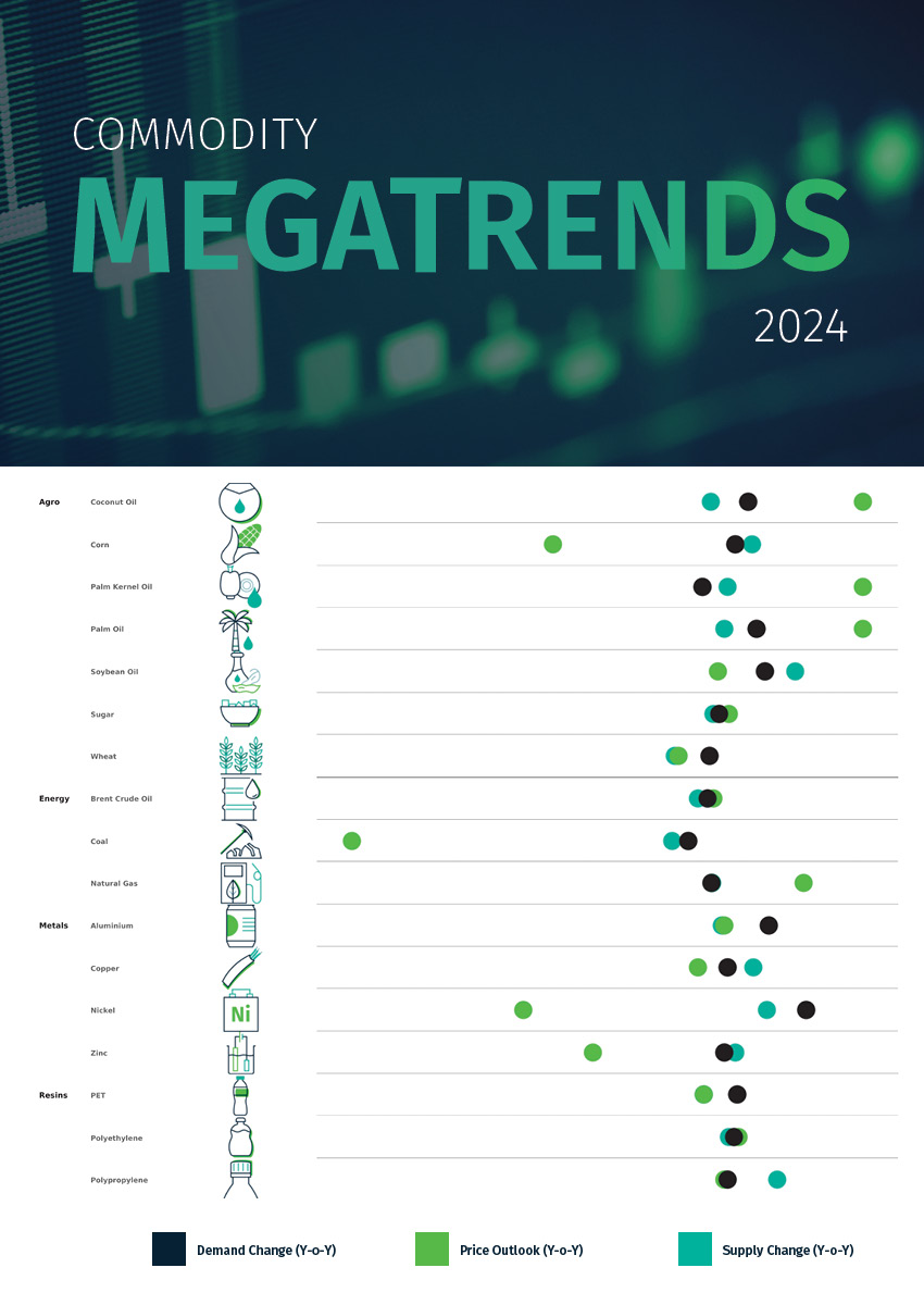 Commodity Megatrends 2024 Interactive Dashboard